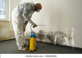 Best Water Damage & Mold Remediation  in Hyattsville, MD